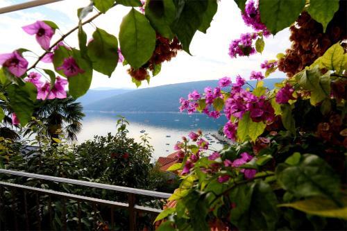 Apartment In Rabac 16939