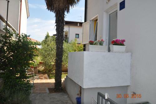 Apartments Mery