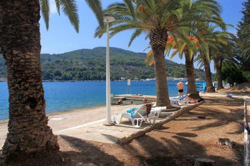Apartment Vela Luka 9244a