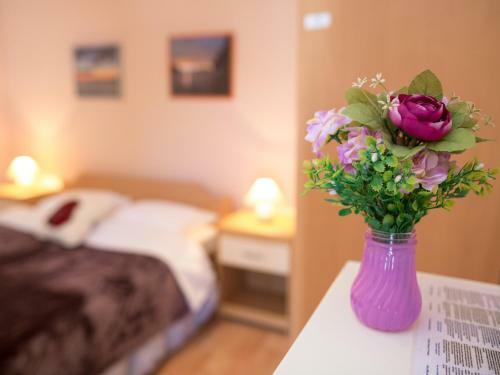 Hostal Apartments Biba