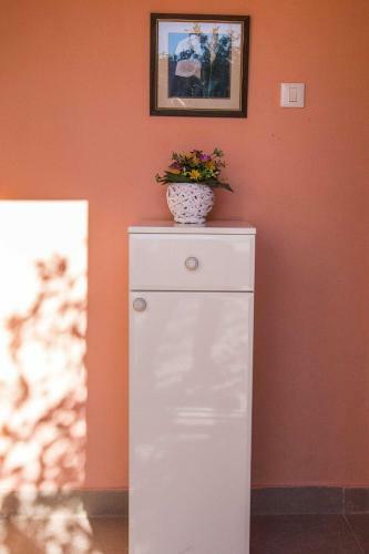 Hostal Apartments Biba
