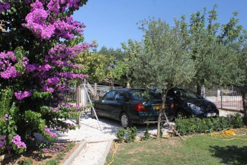 Apartment Kastel Stafilic 9211b