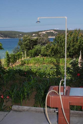 Apartment Supetarska Draga - Gonar 4989b