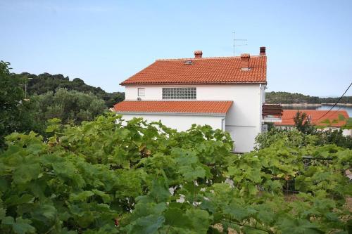 Hostal Apartments With A Parking Space Palit (rab) - 5052