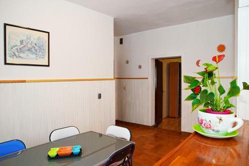 Apartment Ena