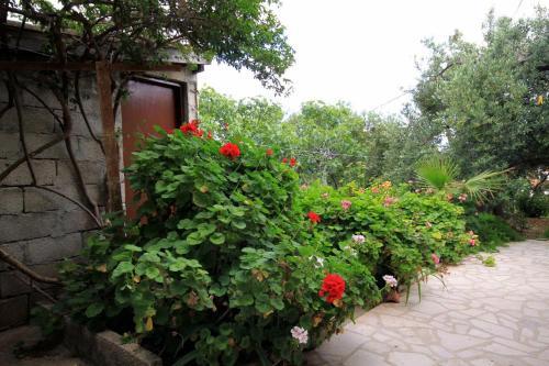 Apartamentos Studio Zavala 593a