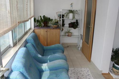 Apartment Podgora 2615d