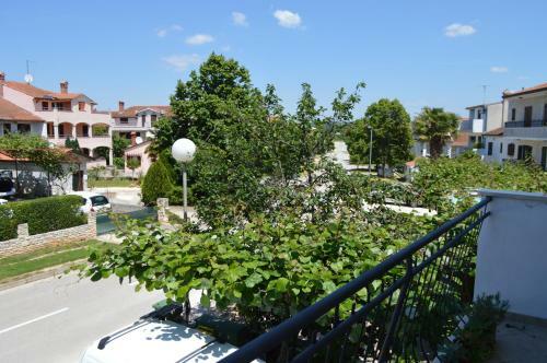 Apartment Bozac