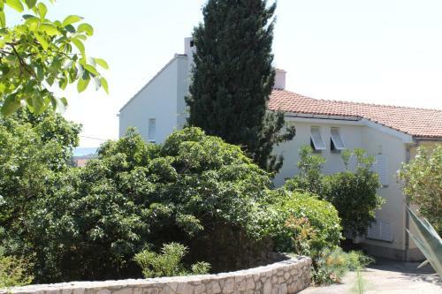 Apartments Pinewood Villa