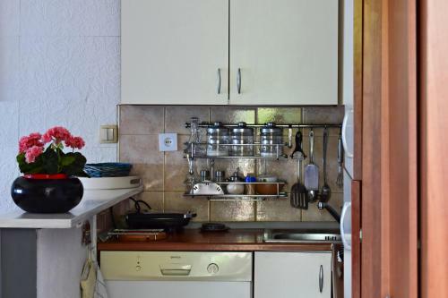 Apartment Aneta
