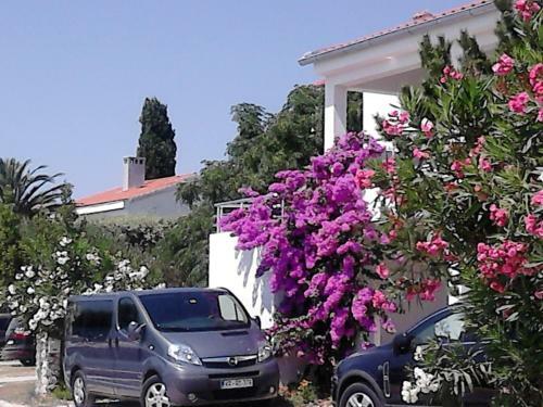 Apartment Sanja