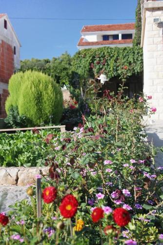 Apartment Stari Grad 5730a