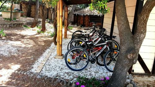 Apartamentos Villa Nela