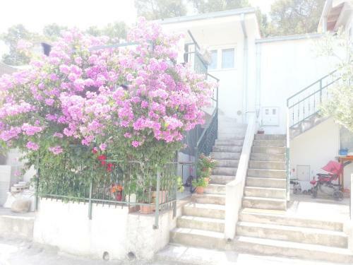 Apartment Bello