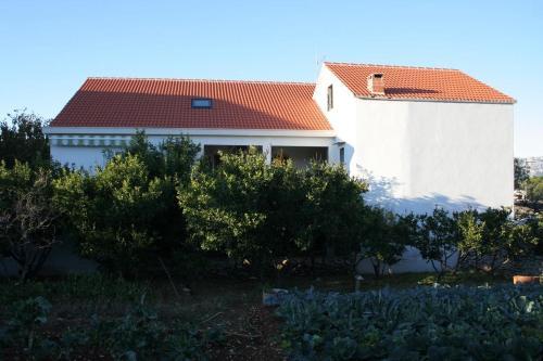 Apartments With A Parking Space Povlja (brac) - 2922