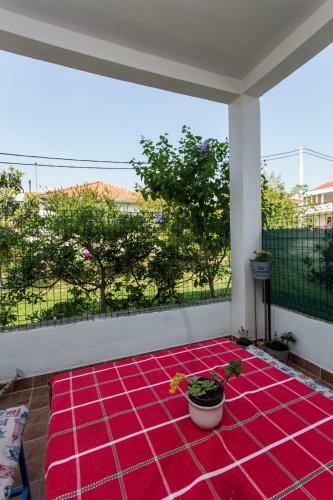 Apartment Corto