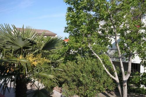 Apartment Biograd Na Moru 6152a