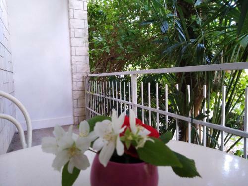 House Danica Apartments & Rooms