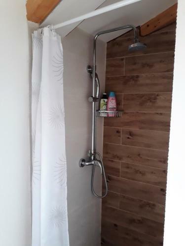Hostal Barbiere Guest House