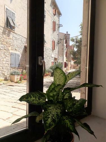 Hostal Barbiere Guest House