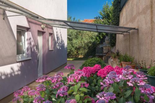 Studio Apartment Vinko T