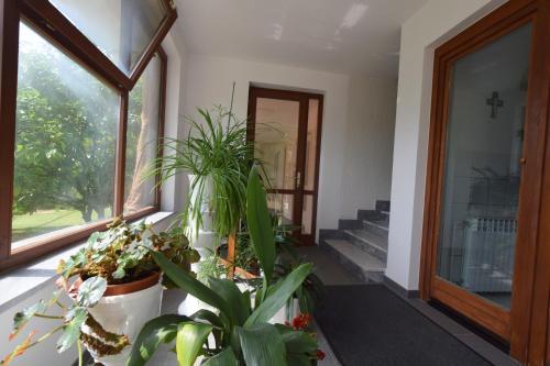 Apartment Mirjana