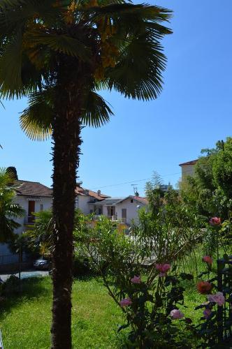 Apartamento Palm Garden Home