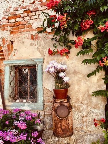 Hostal Villa Gorenka