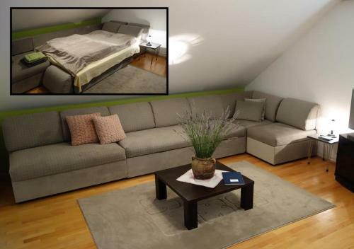 Apartment Beks