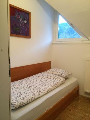 Apartment Franc