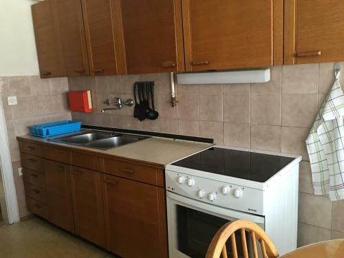 Apartment Zorec