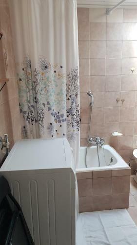 Apartment Zorec