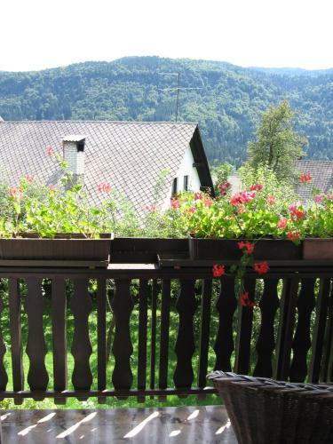 Hostal Pension Krek