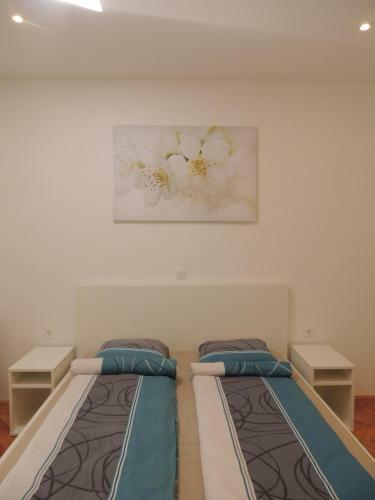 Apartment Evelux