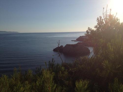 Apartamentos Riells Park