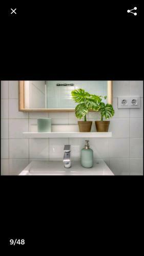 Rambla Batll� Apartments