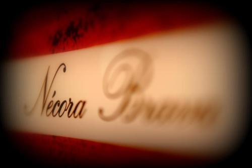 Apartaments La Reserva Premium