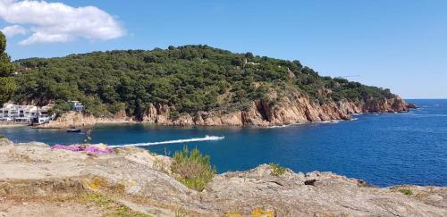 Apartamento Tamariu 1