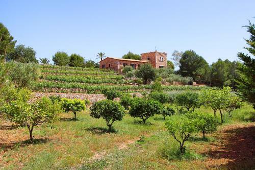 Villa Es Castell