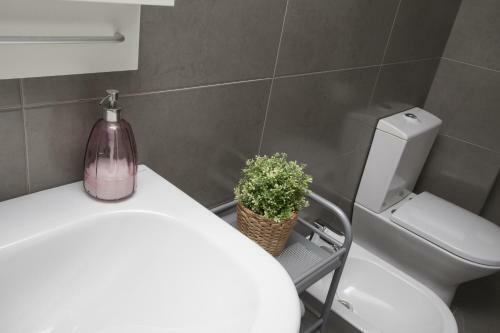 Apartamento Singularstays Plaza Redonda