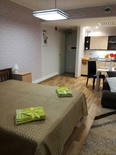 Papiniidu Apartment