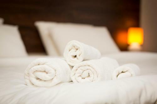 Downtown Residence Apartments - Narva Mnt
