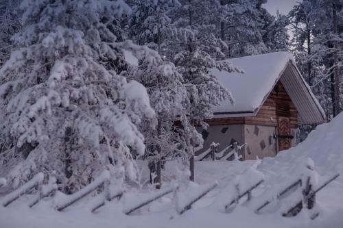 Hotel Harriniva Cottages