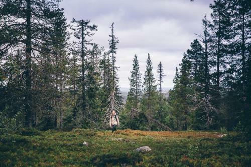 Lapland Hotels Sirkant�hti