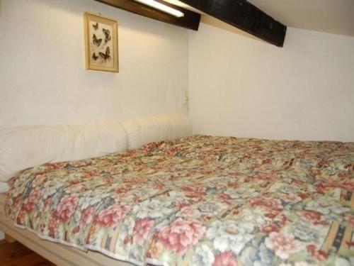 Rental Apartment Equateur 2