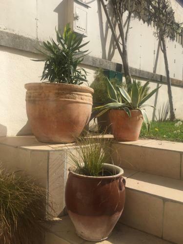 Bed & Breakfast Le Clos Saint-etienne