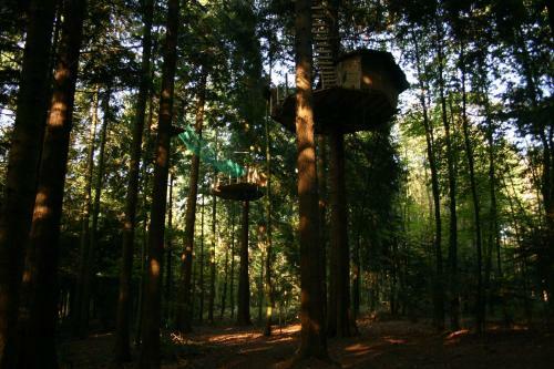 Bed & Breakfast Insolite Dans Les Arbres Les Ormes, Epiniac
