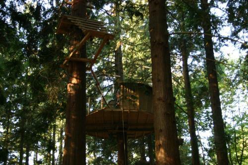 Bed & Breakfast Insolite Dans Les Arbres Les Ormes, Epiniac