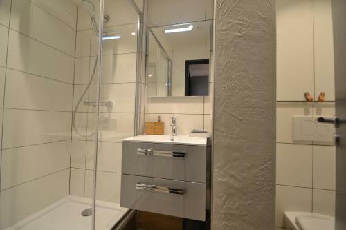 Apartamentos Belle Plagne Premium