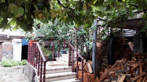 Bed & Breakfast Nika's Guest House